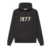 Ess. 1977 Hoodie 'Iron'--192BT212050F