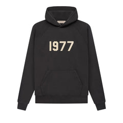 Ess. 1977 Hoodie 'Iron'--192BT212050F