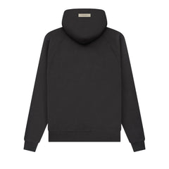 Ess. 1977 Hoodie 'Iron'--192BT212050F