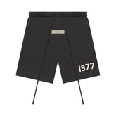Ess. 1977 Shorts 'Iron'--160BT212000F